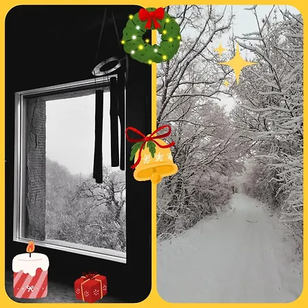 La Casa Nel Bosco * Cortona