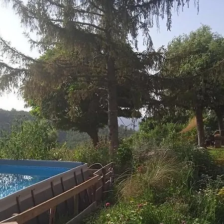 La Casa Nel Bosco