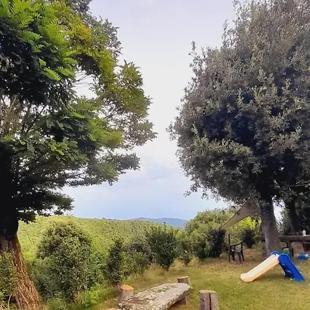 La Casa Nel Bosco * Cortona