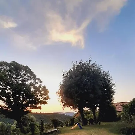 La Casa Nel Bosco Cortona