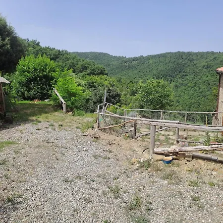 La Casa Nel Bosco